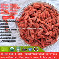 Best Organic Certificated Nutrition Goji Berry with high quality